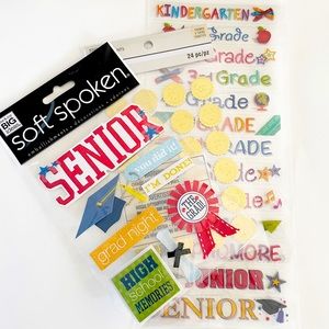 🛍5/$20 /bundle&save/SENIOR STICKER SHEET